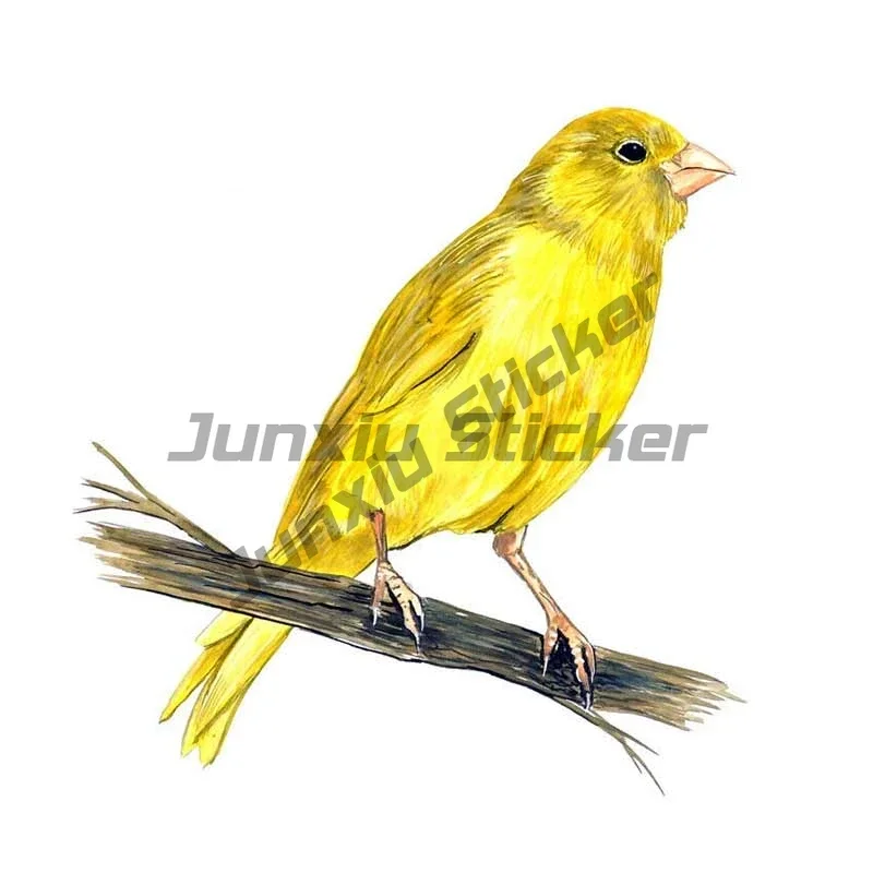 Popular Yellow Canary Finch Bird Watching Home Office Room Camp Decor Decal Wall Art Car Sticker Graphic
Popular Yellow Canary Finch Bird Watching Home Office Room Camp Decor Decal Wall Art Car Sticker Graphic