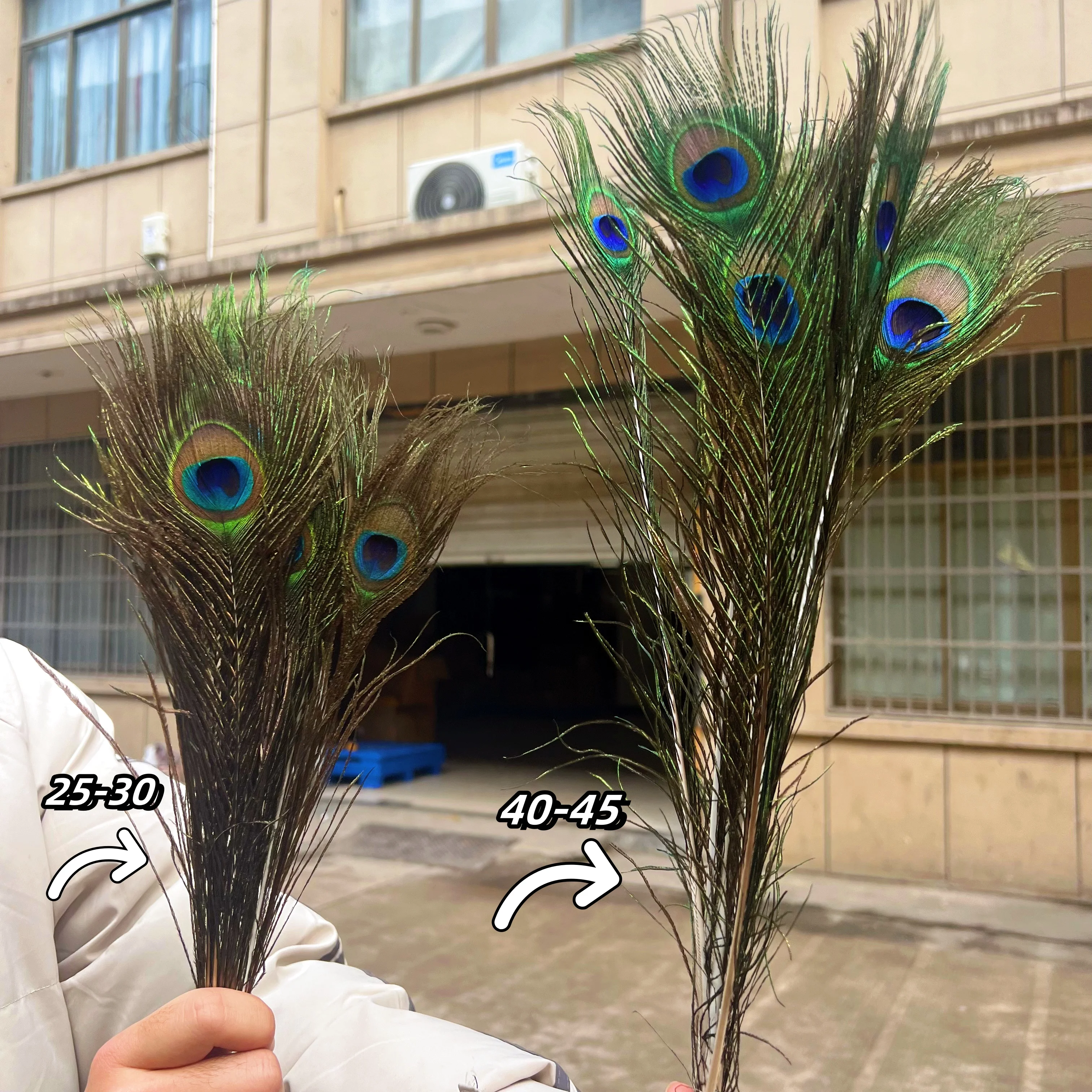 10PCS/LOT Natural Big Eyes Real Peacock Feathers Plumes 25-30cm For Wedding Party DIY Crafts Making Home Decoration Wholesale
10PCS/LOT Natural Big Eyes Real Peacock Feathers Plumes 25-30cm For Wedding Party DIY Crafts Making Home Decoration Wholesale