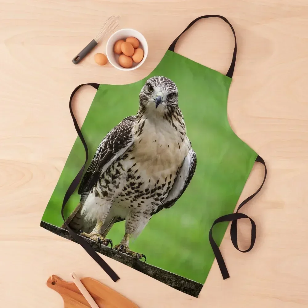 Beautiful Red Tail Hawk On A Railing Apron Customizable japanese woman kitchen clothes for men Woman Kitchens Apron
Beautiful Red Tail Hawk On A Railing Apron Customizable japanese woman kitchen clothes for men Woman Kitchens Apron