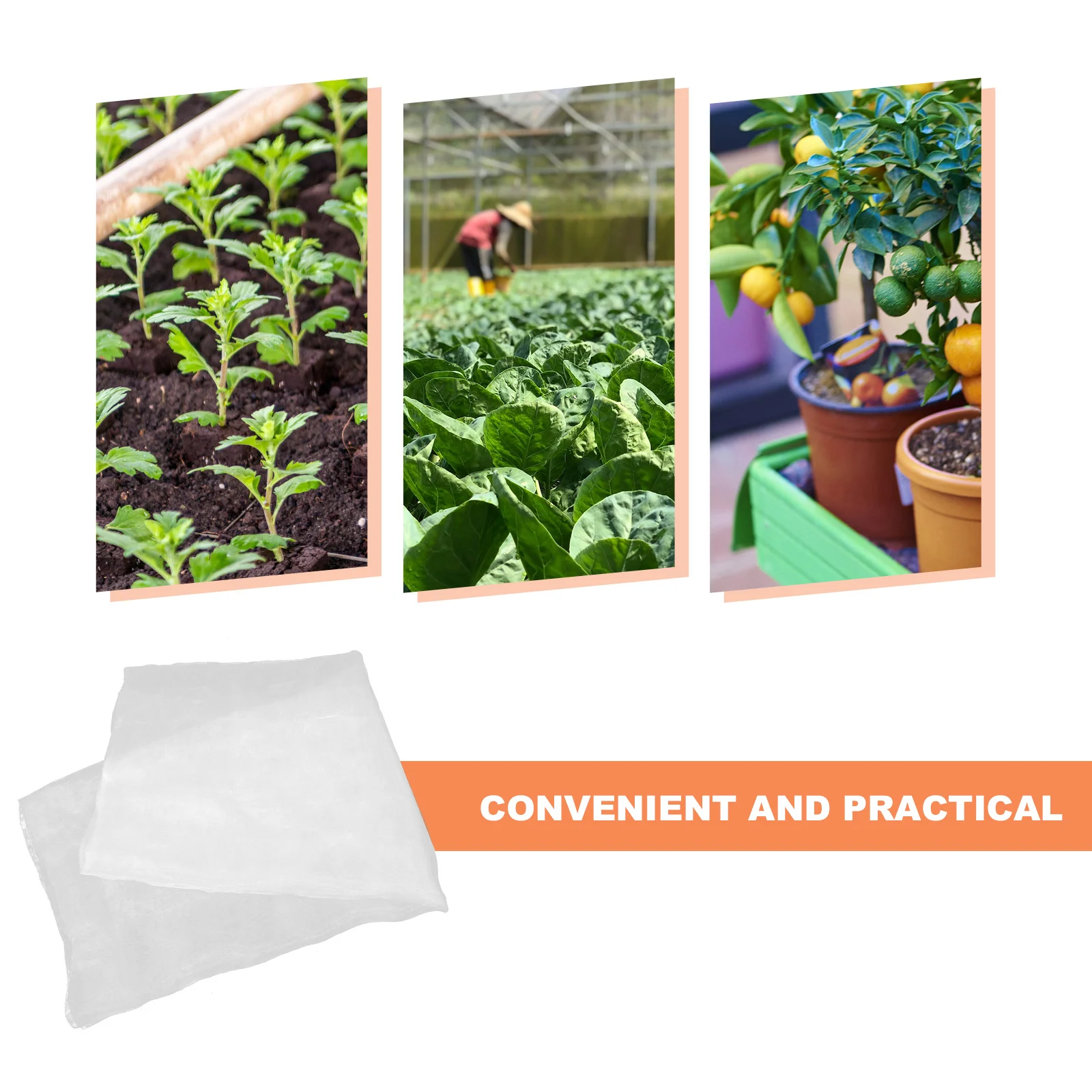 Vegetable Protective Mesh Net 2M X 10M Heavy Duty Uv Resistant Nylon Farm Garden Cover for Crops Orchard Carrot Fly Bird and
Vegetable Protective Mesh Net 2M X 10M Heavy Duty Uv Resistant Nylon Farm Garden Cover for Crops Orchard Carrot Fly Bird and
