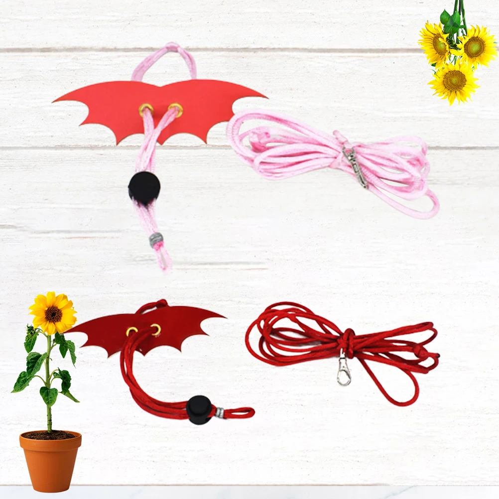 2 PCS Leash Lizard Adjustable Rop Rope Reptile Harness for with Wing Small Animal
2 PCS Leash Lizard Adjustable Rop Rope Reptile Harness for with Wing Small Animal