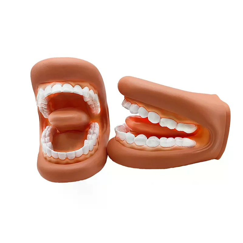 1 Set Dental Model Mighty Mouth Hand Puppet With Tongue For Speech Therapy Dentist / Educational Learning Resource For Children
1 Set Dental Model Mighty Mouth Hand Puppet With Tongue For Speech Therapy Dentist / Educational Learning Resource For Children