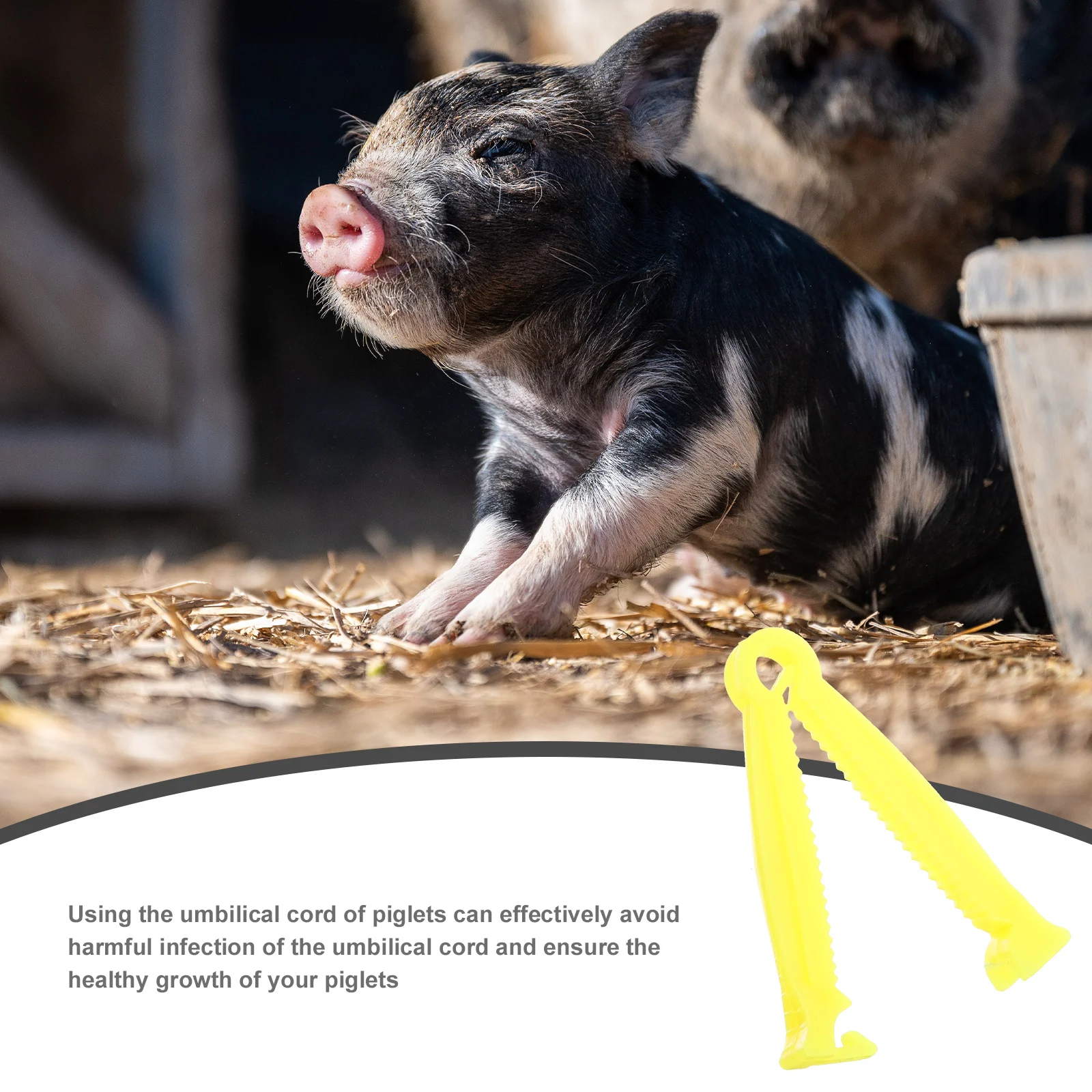 100pcs Umbilical Cord Clamp Disposable Plastic Livestock Clip Puppy Sheep Accessory Health Care Supplies Anti Slipping Tooth
100pcs Umbilical Cord Clamp Disposable Plastic Livestock Clip Puppy Sheep Accessory Health Care Supplies Anti Slipping Tooth