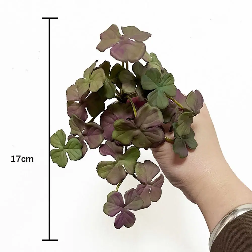 Soft Artificial Copper Coin Grass Plants Realistic Wall Hanging Fake Ivy Leaf Leaves Handmade Mini Bouquet Home Decoration
Soft Artificial Copper Coin Grass Plants Realistic Wall Hanging Fake Ivy Leaf Leaves Handmade Mini Bouquet Home Decoration