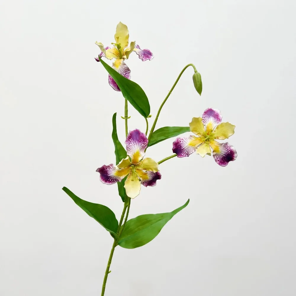 Long Branch Artificial Iris Flower Branch Real Touch Handmade Simulation Silk Flowers Realistic Wither Resistant Faux Flower
Long Branch Artificial Iris Flower Branch Real Touch Handmade Simulation Silk Flowers Realistic Wither Resistant Faux Flower