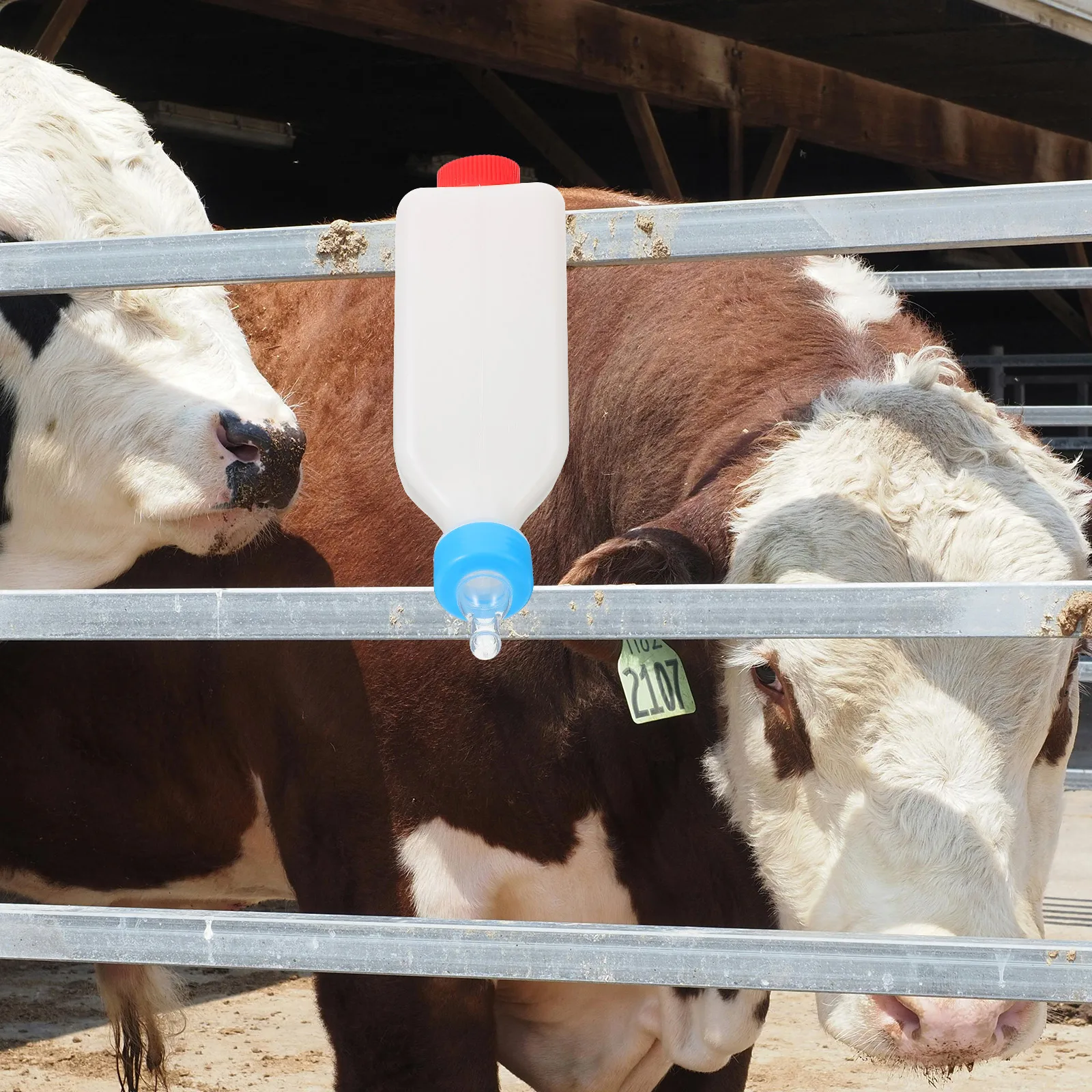 Pet Feeding Device Calf Livestock Milk Bottle Animal Feeding Container Sheep Goat Feeder Lamb Nursing Bottle Cow Feeder Little
Pet Feeding Device Calf Livestock Milk Bottle Animal Feeding Container Sheep Goat Feeder Lamb Nursing Bottle Cow Feeder Little