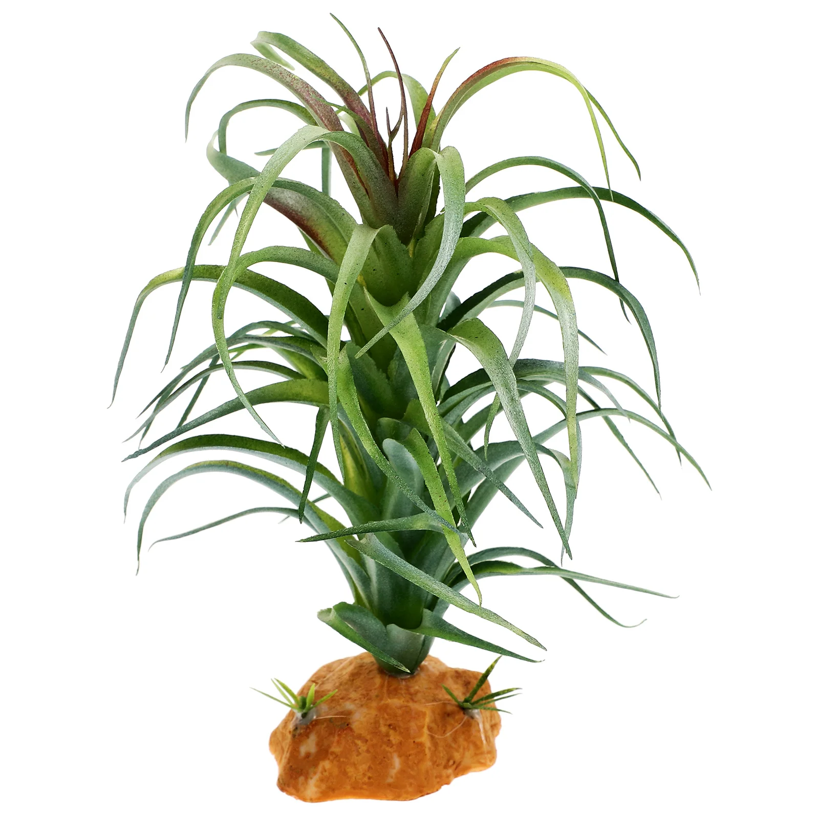 Amphibian Tank Decor Fish Plant Reptile Box Plants Simulation Plastic Decoration Simulated Ornament Terrarium
Amphibian Tank Decor Fish Plant Reptile Box Plants Simulation Plastic Decoration Simulated Ornament Terrarium