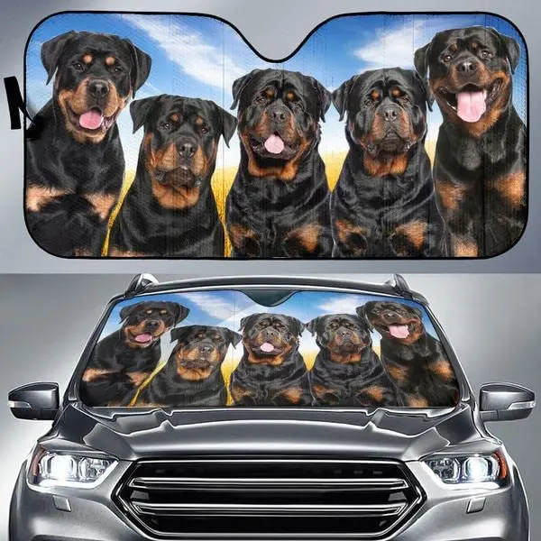 Rottweiler Team Blue Sky Pattern Car Visor Car Windshield Visor for UV Sun Protection, Car Car Visor
Rottweiler Team Blue Sky Pattern Car Visor Car Windshield Visor for UV Sun Protection, Car Car Visor