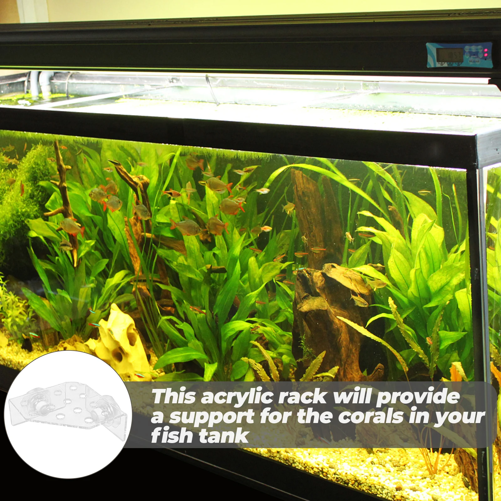 Clear Acrylic Rack Holder Aquarium Supply Stand Compact Support Suction Cup Fish Tank Accessory Transparent Coral Rack
Clear Acrylic Rack Holder Aquarium Supply Stand Compact Support Suction Cup Fish Tank Accessory Transparent Coral Rack