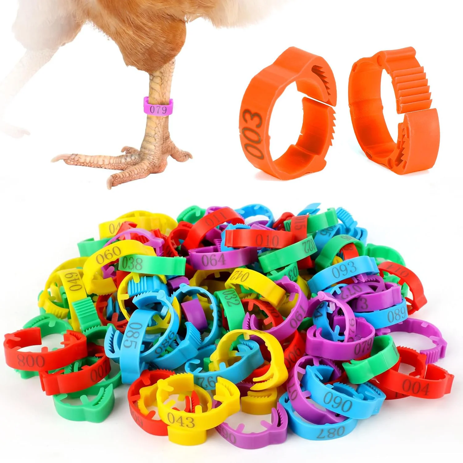Adjustable Chicken Foot Ring Plastic Adjustable Poultry Leg Snap Ratchet Clip 6 Colors Numbered Identification Leg Rings Clip
Adjustable Chicken Foot Ring Plastic Adjustable Poultry Leg Snap Ratchet Clip 6 Colors Numbered Identification Leg Rings Clip
