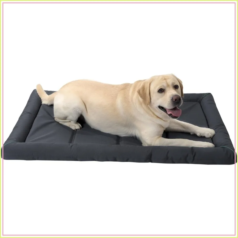 Waterproof Dog Crate Pad for Extra Large Breeds, 48" Washable & Easy Clean Kennel Mat
Waterproof Dog Crate Pad for Extra Large Breeds, 48" Washable & Easy Clean Kennel Mat