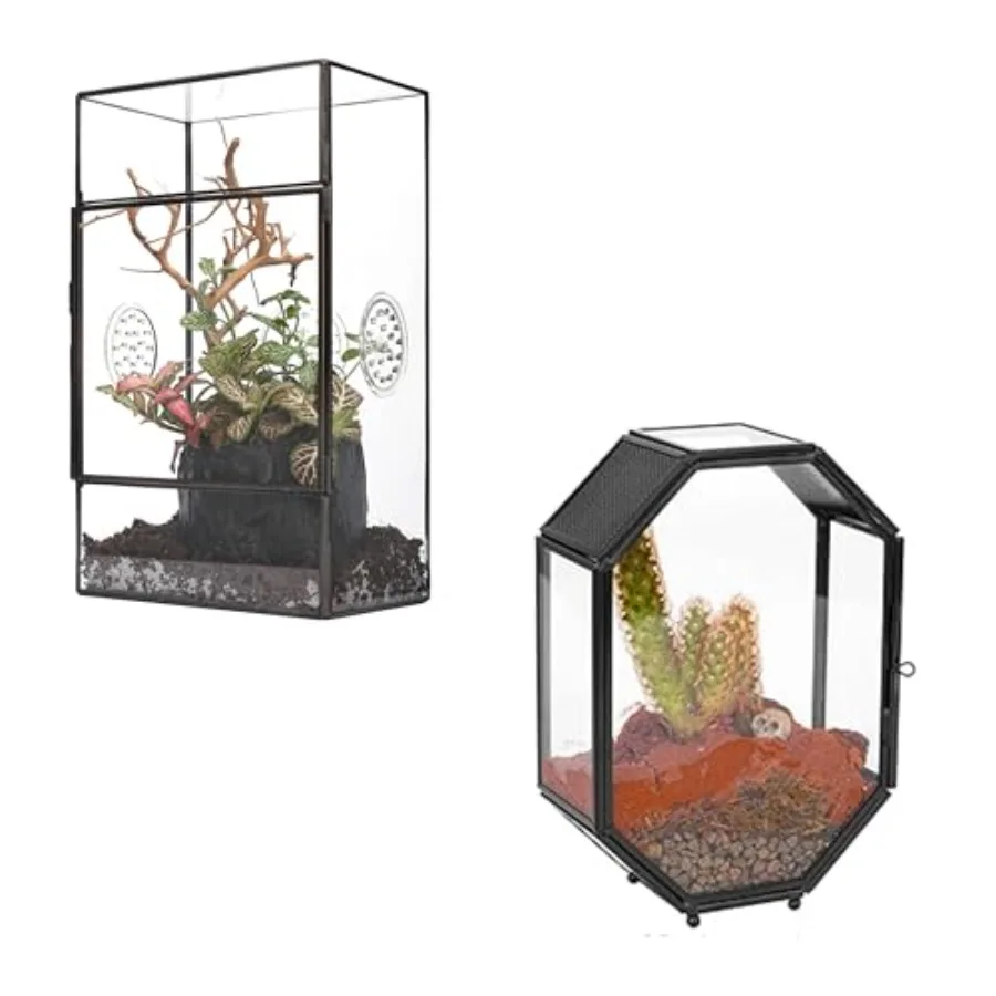 Small Glass Terrarium with 3 Vent Holes and Mini Glass Enclosure with Vent and Door for Jumping Spider Snails Insects Cactus Pl
Small Glass Terrarium with 3 Vent Holes and Mini Glass Enclosure with Vent and Door for Jumping Spider Snails Insects Cactus Pl