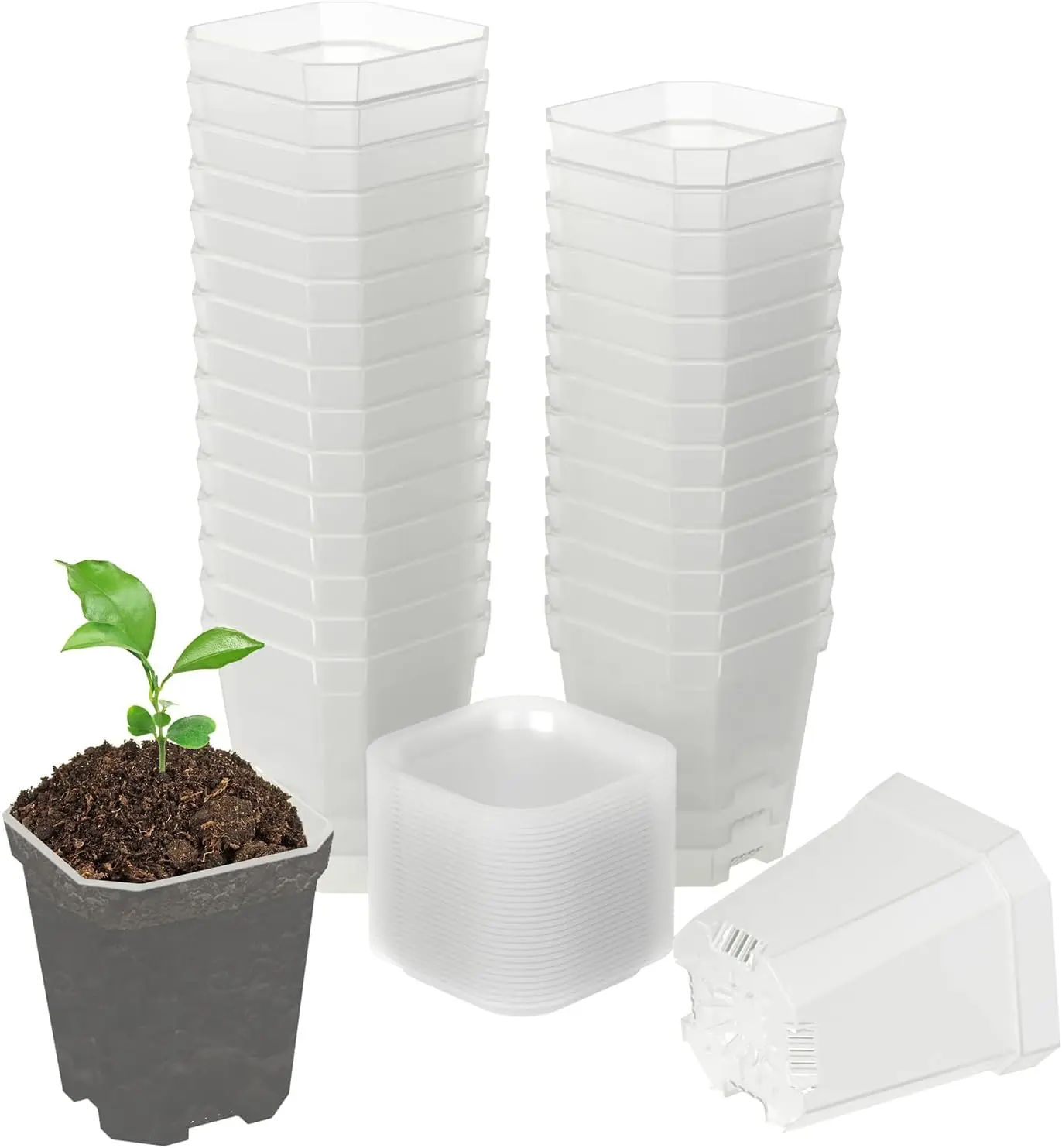 30 Pcs Clear Square Plant Pots with Saucers, 3" Thick Plastic Nursery Seed Starter for Indoor Outdoor Gardening
30 Pcs Clear Square Plant Pots with Saucers, 3" Thick Plastic Nursery Seed Starter for Indoor Outdoor Gardening