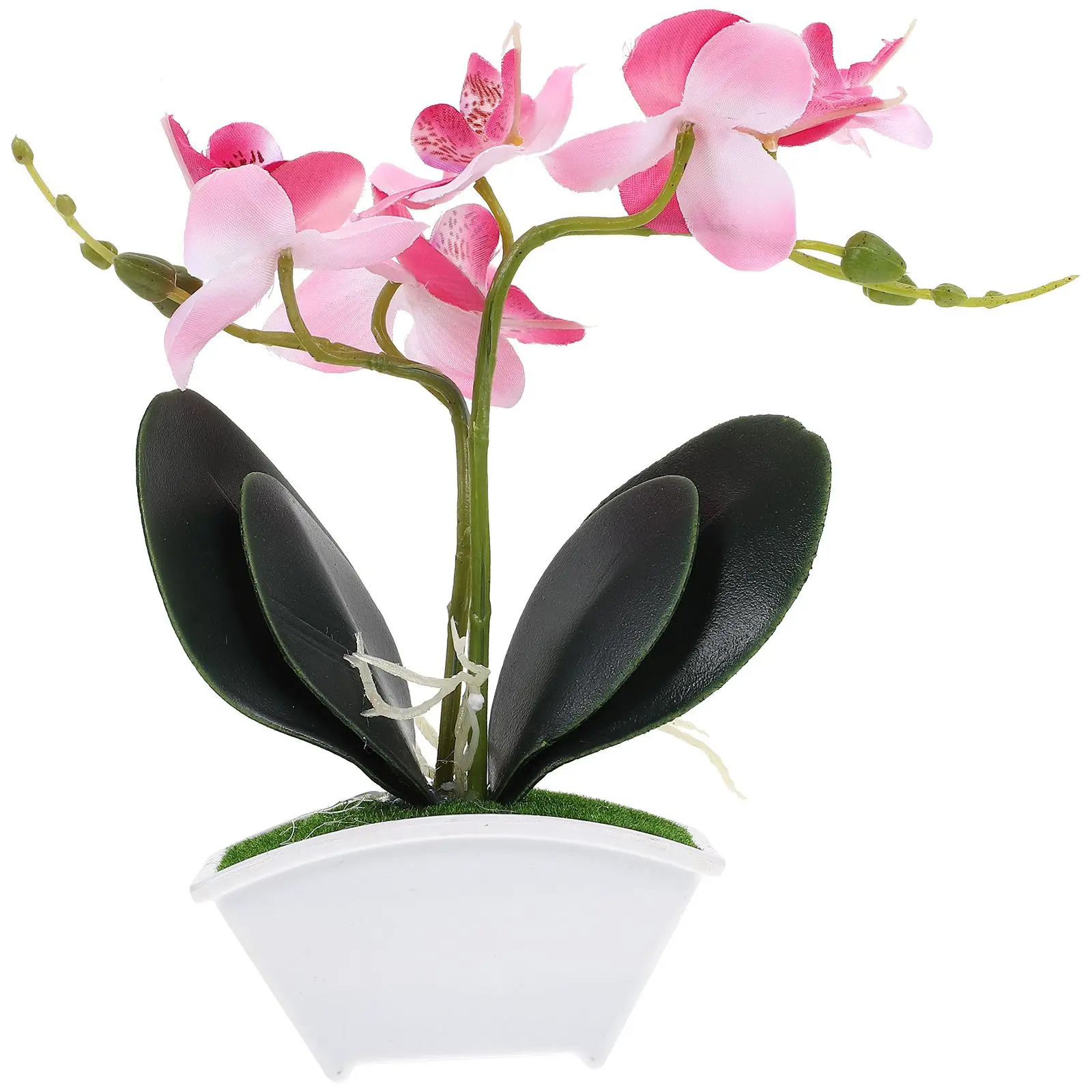 Plant Simulation Phalaenopsis Mother Home Decor Orchid Plastic Pot Mini Artificial Plants
Plant Simulation Phalaenopsis Mother Home Decor Orchid Plastic Pot Mini Artificial Plants