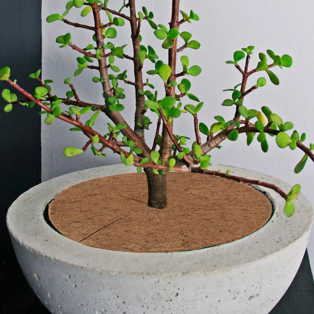 Coir Control Pad Ring Flat Mat Natural Coconut Fiber Mulch Disc Easy Install Garden Flower Pot Tree Ring Mat Anti-Grass
Coir Control Pad Ring Flat Mat Natural Coconut Fiber Mulch Disc Easy Install Garden Flower Pot Tree Ring Mat Anti-Grass