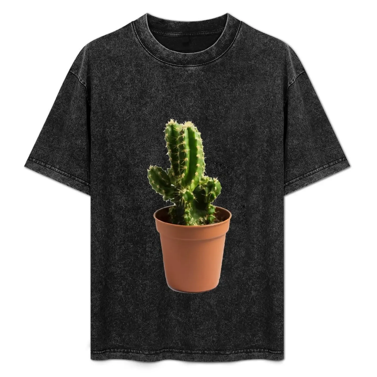 Green Cactus Succulent in Pot T-Shirt Lightweight Hiking T-Shirt
Green Cactus Succulent in Pot T-Shirt Lightweight Hiking T-Shirt