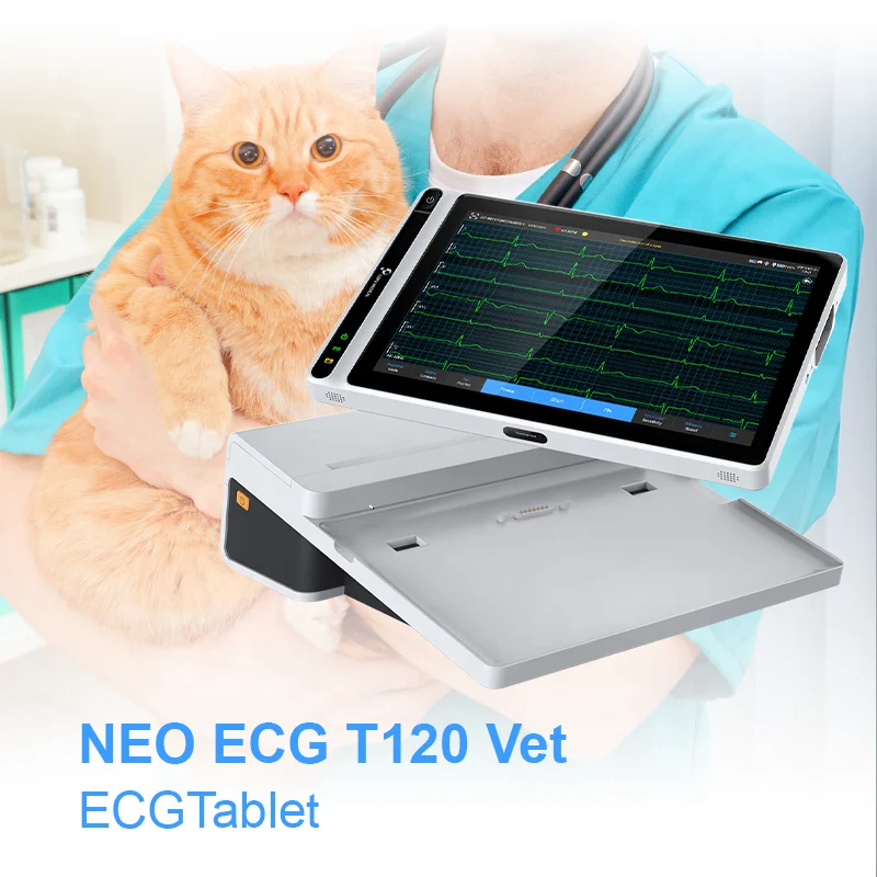 Pet Electrocardiogram Wireless Price EKG Monitor Leads 18 12 Channel Portable Animal Veterinary Vet ECG Machine With Trolley
Pet Electrocardiogram Wireless Price EKG Monitor Leads 18 12 Channel Portable Animal Veterinary Vet ECG Machine With Trolley