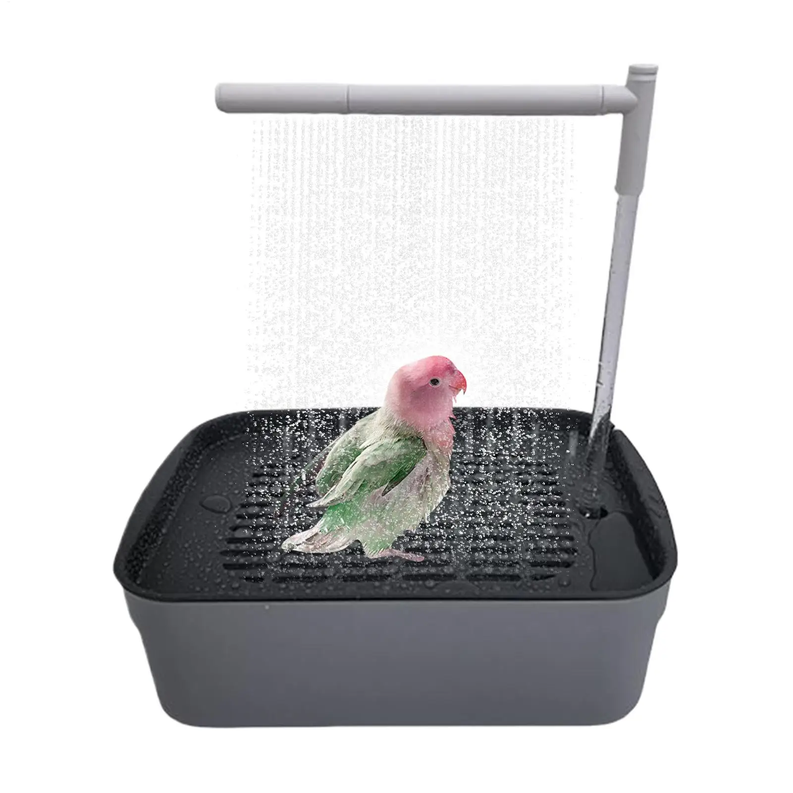 Bird Shower Parakeet Bath Automatic Bird Bathtub Rechargeable Tub with Circulating Faucet Pet Supplies Bathing Accessories
Bird Shower Parakeet Bath Automatic Bird Bathtub Rechargeable Tub with Circulating Faucet Pet Supplies Bathing Accessories