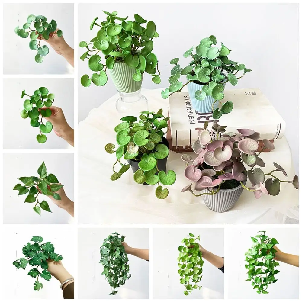Soft Artificial Copper Coin Grass Plants Handmade Wall Hanging Fake Ivy Leaf Leaves Realistic Mini Bouquet Office
Soft Artificial Copper Coin Grass Plants Handmade Wall Hanging Fake Ivy Leaf Leaves Realistic Mini Bouquet Office
