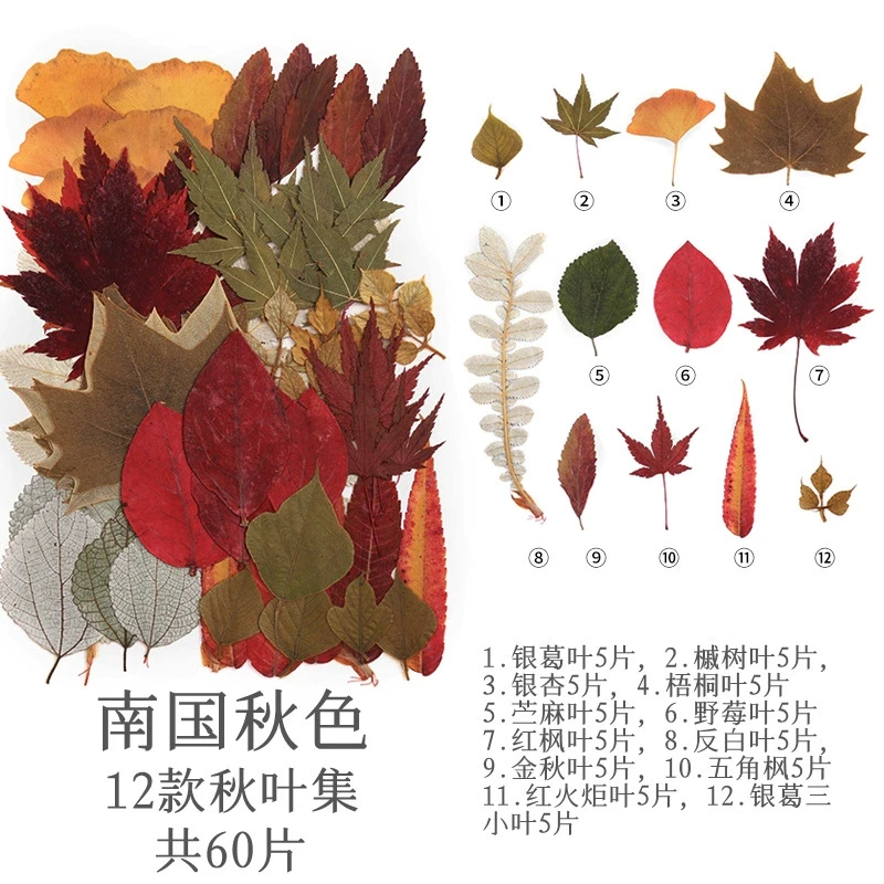 Dried Flower and Pressed Flower Material Pack, 45-110 Large Combination Pack, Plant Photo Frame, Journal Stickers, Children's Crafts, Team Building Activities
Dried Flower and Pressed Flower Material Pack, 45-110 Large Combination Pack, Plant Photo Frame, Journal Stickers, Children's Crafts, Team Building Activities