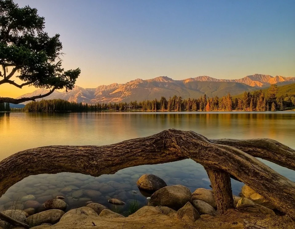 1:43 Scale 4WD RC Drift Car, 2.4G High Speed Remote Control Mini Racer, Four Wheel Drive Racing Model for Kids Gifts
1:43 Scale 4WD RC Drift Car, 2.4G High Speed Remote Control Mini Racer, Four Wheel Drive Racing Model for Kids Gifts