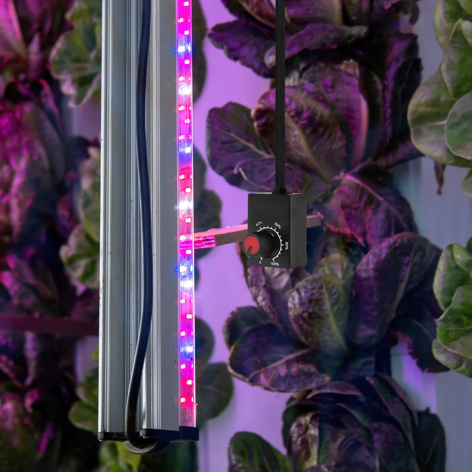 Knob LED Dimmer Mini Controller Rotary Switch Crimp Terminal Indoor Dimmable LED Driver Light Grow Lamp Controller Pwm
Knob LED Dimmer Mini Controller Rotary Switch Crimp Terminal Indoor Dimmable LED Driver Light Grow Lamp Controller Pwm