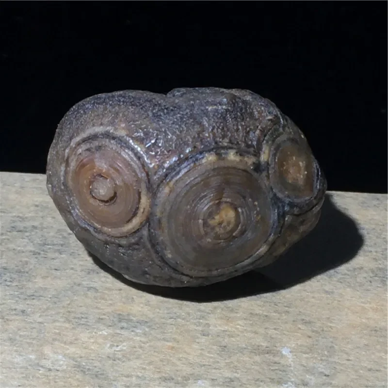 Natural Alashan Gobi Agate Eye Stone - Boutique Mongolian Rough Natural Color And Shape Rough Stone for Jewelry
Natural Alashan Gobi Agate Eye Stone - Boutique Mongolian Rough Natural Color And Shape Rough Stone for Jewelry