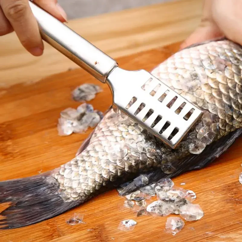Fish Scale Remover Stainless Steel Fish Scale Remover Cleaner Scraper Kitchen Peeler Tool Kitchen Tool Fish Scale ProcessingFish
Fish Scale Remover Stainless Steel Fish Scale Remover Cleaner Scraper Kitchen Peeler Tool Kitchen Tool Fish Scale ProcessingFish