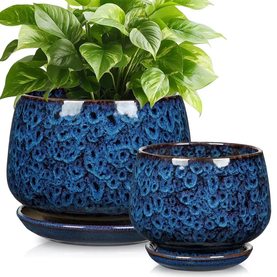 Blue Ceramic Planter Pots with Drainage Holes, Set of 2 75 Saucers and Mesh Pads Large Round Plant Pot for IndoorOutdoor Plants,
Blue Ceramic Planter Pots with Drainage Holes, Set of 2 75 Saucers and Mesh Pads Large Round Plant Pot for IndoorOutdoor Plants,