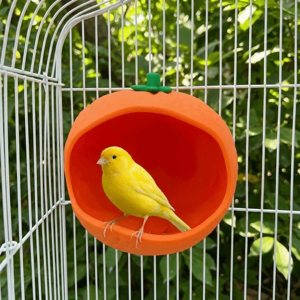 Decorative Orange-shaped Bird Cage Nest Wall Hanging Ventilation Parrot Food Box Bite Resistant Sleeping Nest Bird Breeding
Decorative Orange-shaped Bird Cage Nest Wall Hanging Ventilation Parrot Food Box Bite Resistant Sleeping Nest Bird Breeding