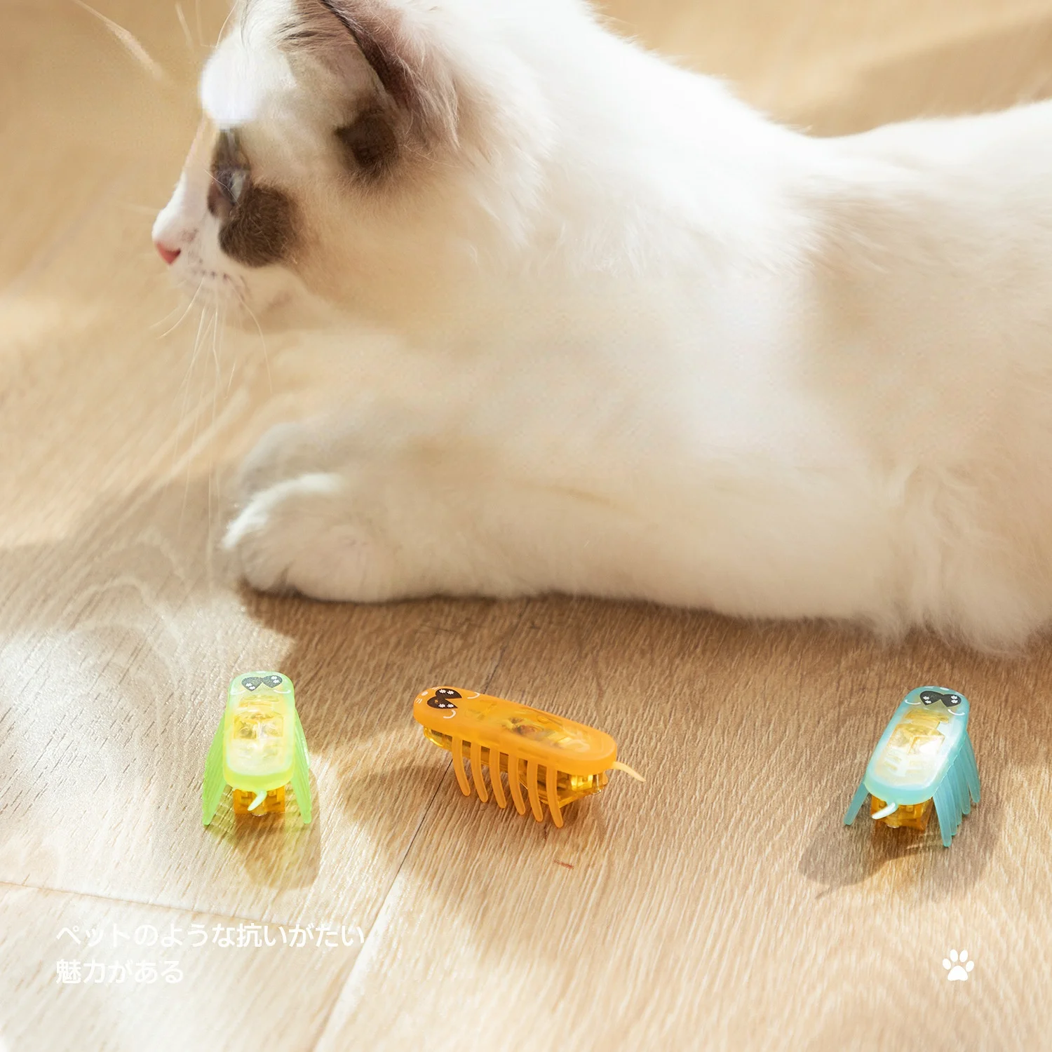 Electric small cockroach from Hi kitty cat sound toys removable battery chase boredom funny cat toys Toys with battery
Electric small cockroach from Hi kitty cat sound toys removable battery chase boredom funny cat toys Toys with battery
