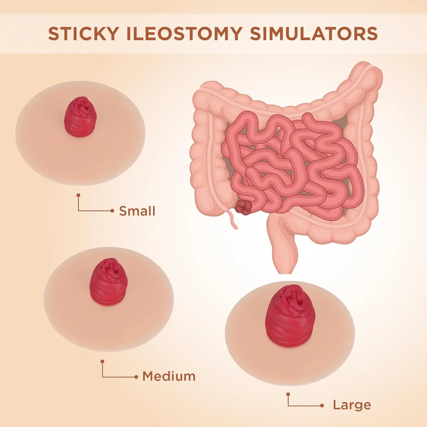 Sticky Small Ileostomy Simulators Stoma Training Model Set Ostomy Care Practice Model for Medical Training and Patient Education
Sticky Small Ileostomy Simulators Stoma Training Model Set Ostomy Care Practice Model for Medical Training and Patient Education