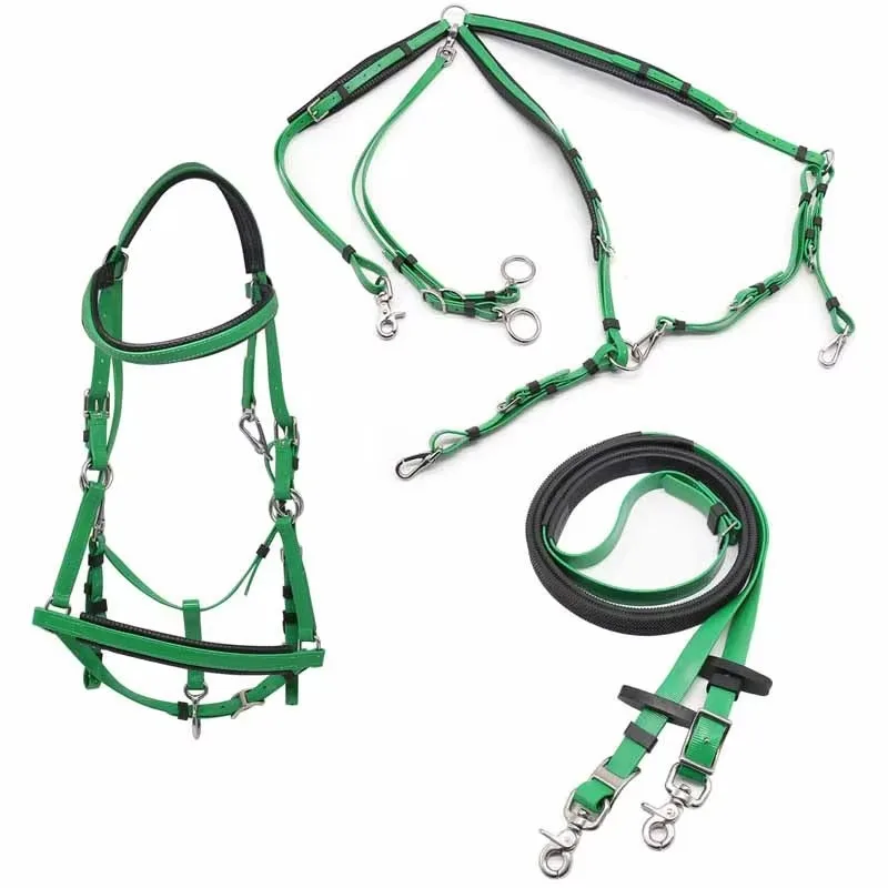 Weather-Resistant Australian Saddle PVC Equestrian Horse Riding Set with Adjustable Bridle Rein and Breastplate for Riders
Weather-Resistant Australian Saddle PVC Equestrian Horse Riding Set with Adjustable Bridle Rein and Breastplate for Riders