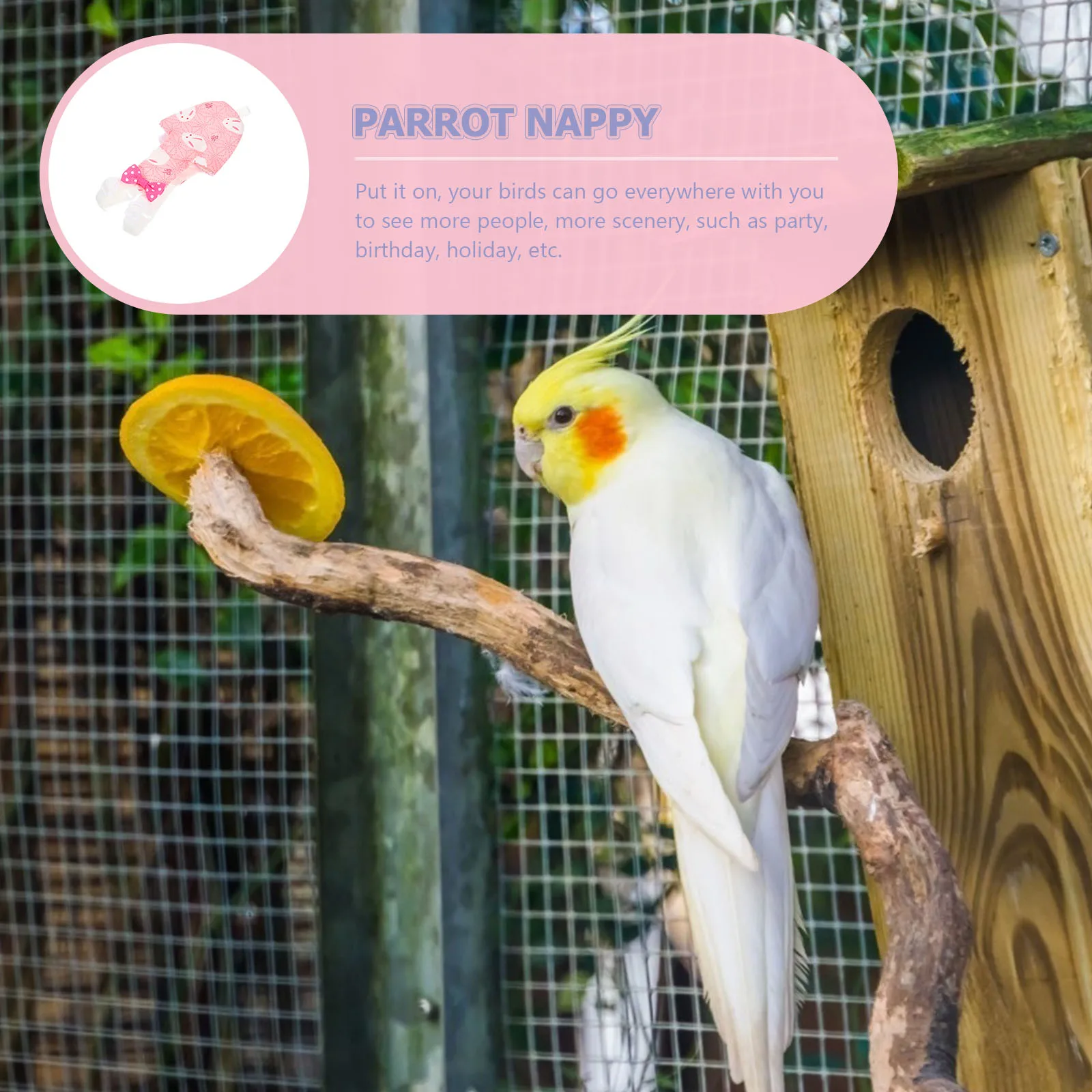 Parrot Clothes Dizzy Decorative Bird for Birds Pet Diapers Accessories Cotton Flight Suit Reusable
Parrot Clothes Dizzy Decorative Bird for Birds Pet Diapers Accessories Cotton Flight Suit Reusable