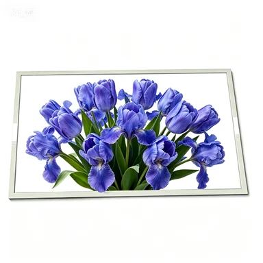 TX14D17VM1BPB 5.7 inch 640*480 Resolution LCD panel fast shipping
TX14D17VM1BPB 5.7 inch 640*480 Resolution LCD panel fast shipping
