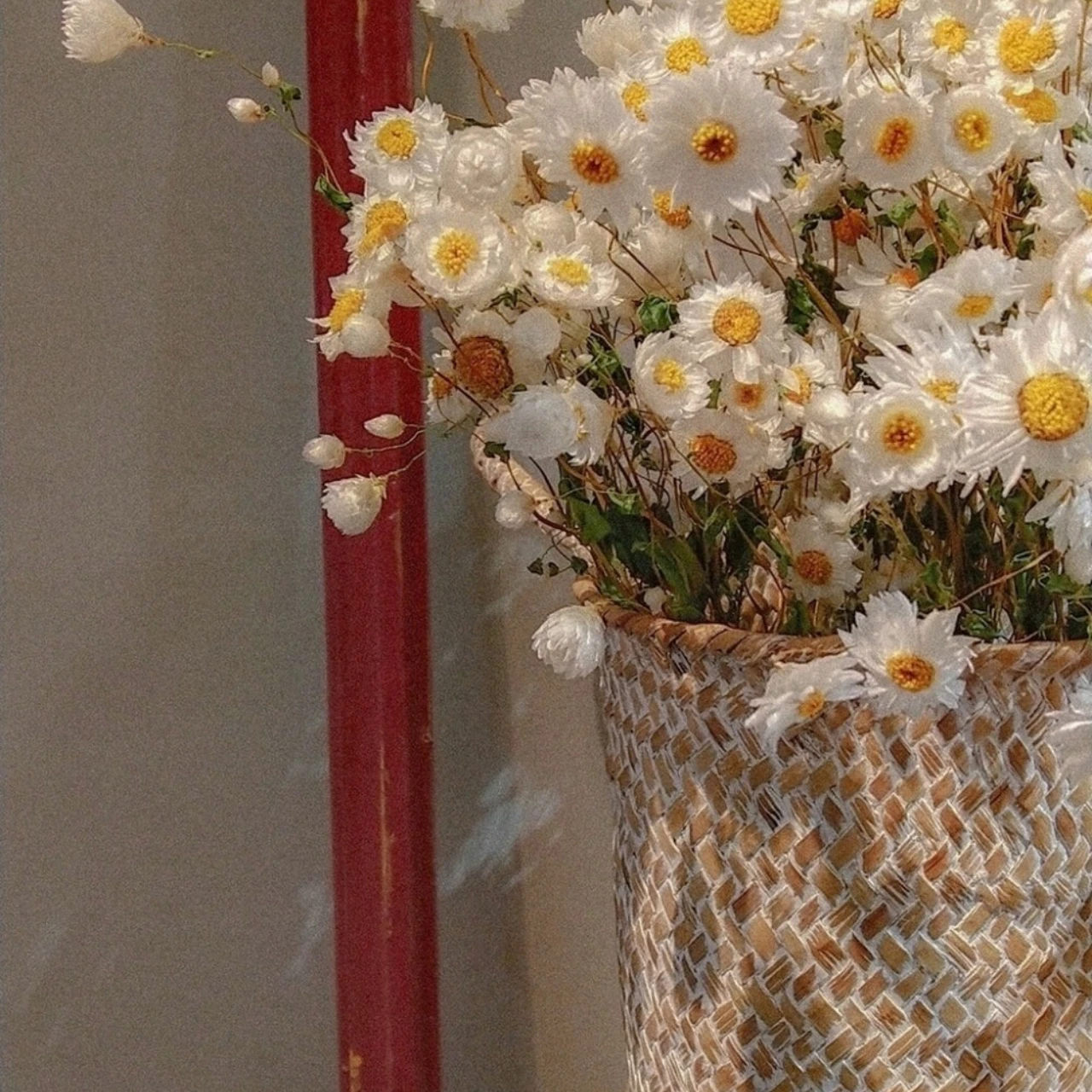 Алюминиевая крышка основного механизма для AXIAL 1/24 SCX24 Deadbolt, SCX24 Jeep, AX24 XC-1 AXI316068
Алюминиевая крышка основного механизма для AXIAL 1/24 SCX24 Deadbolt, SCX24 Jeep, AX24 XC-1 AXI316068