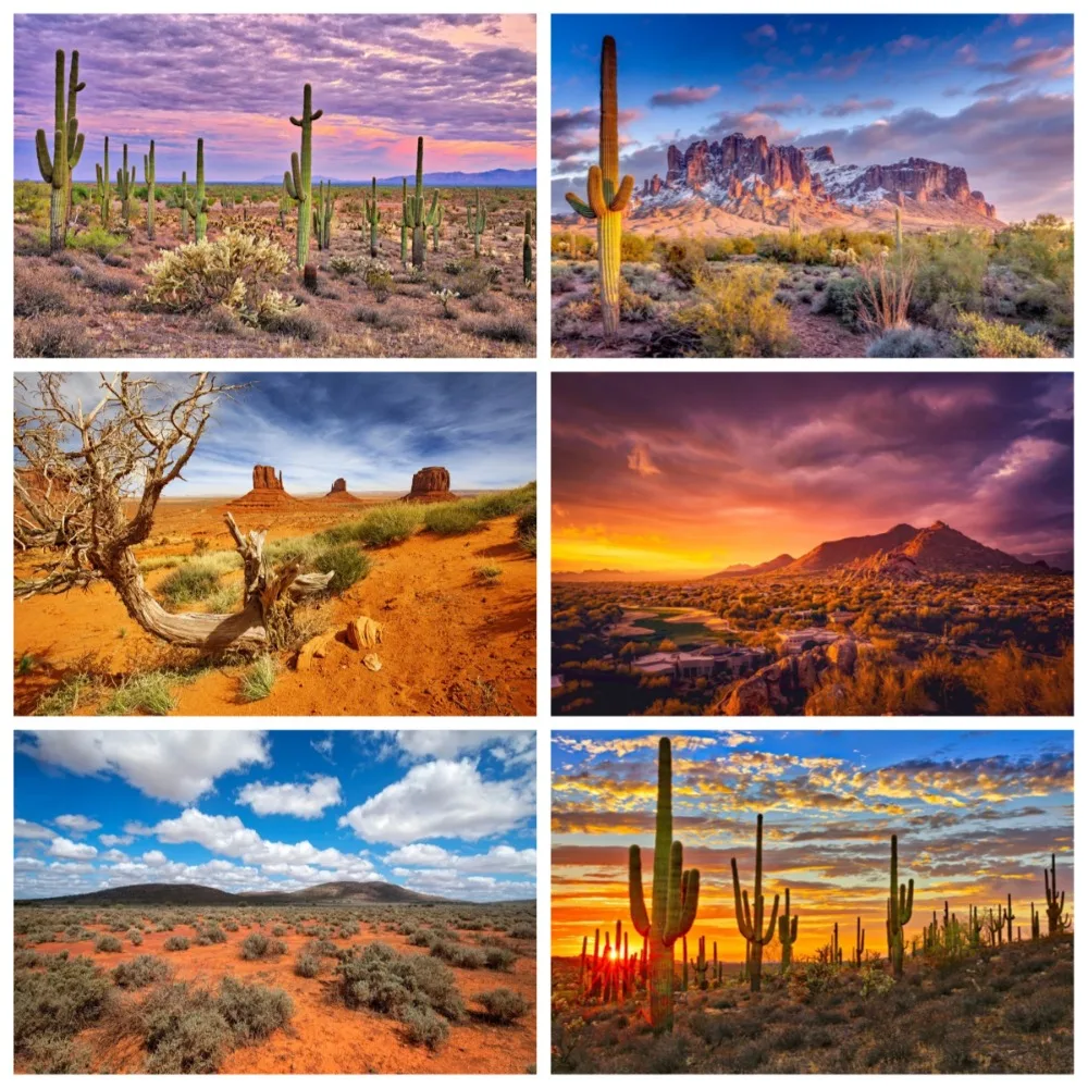 Western Desert Mountain Shrubs Cactus Natural Scenery Banner Background, Adult Birthday Party Background Photography Decoration
Western Desert Mountain Shrubs Cactus Natural Scenery Banner Background, Adult Birthday Party Background Photography Decoration