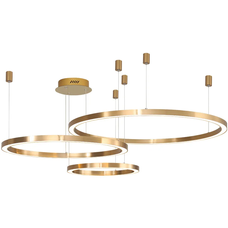 Modern Simple Design Acrylic Ring Pendant Light Lamp Hanging Multi-circular LED Circle Ring Chandelier
Modern Simple Design Acrylic Ring Pendant Light Lamp Hanging Multi-circular LED Circle Ring Chandelier
