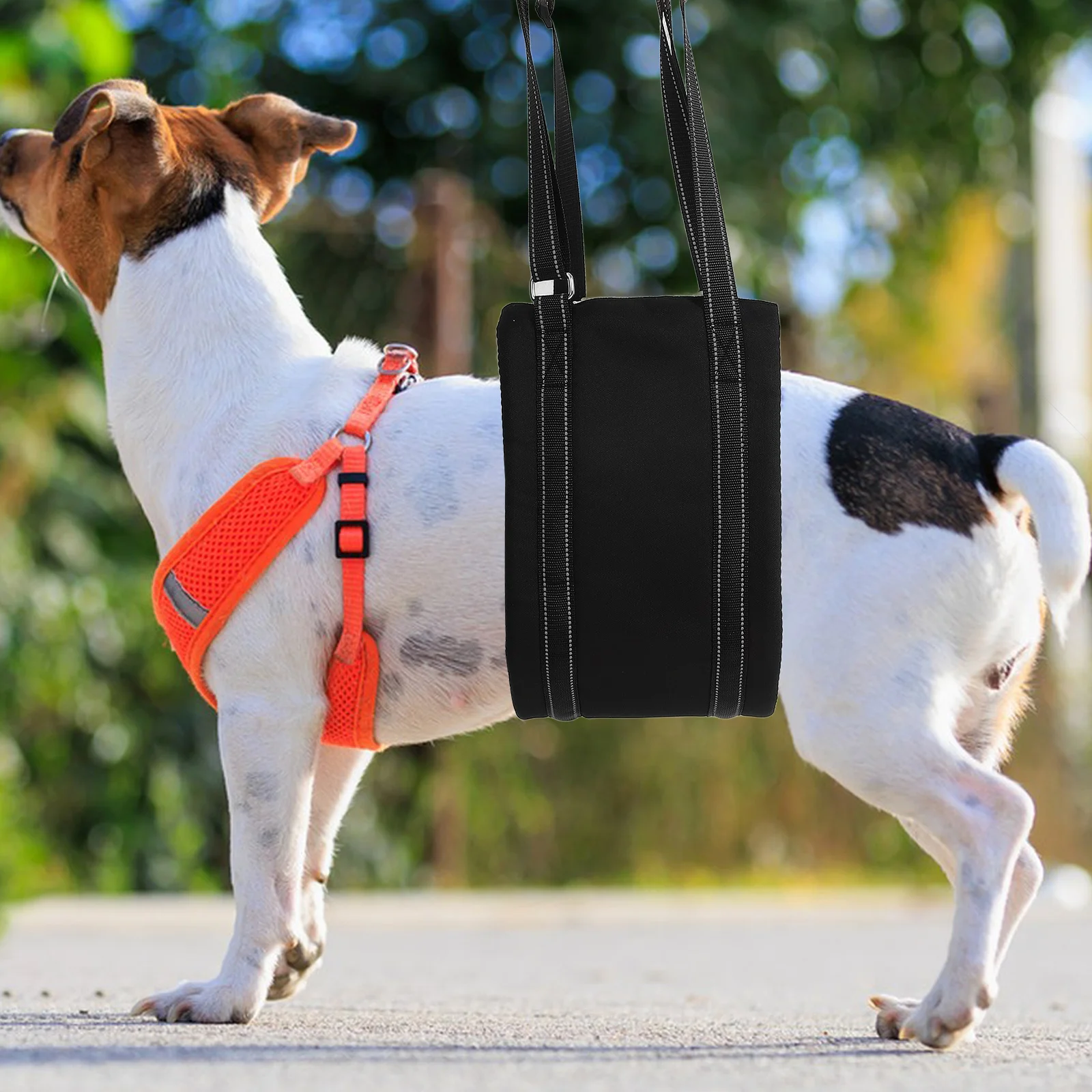 Rear Legs Support Dog Sling Harness Belt Adjustable Disabled Dogs Assistance Lift Portable Durable Large Small Comfortable Dog
Rear Legs Support Dog Sling Harness Belt Adjustable Disabled Dogs Assistance Lift Portable Durable Large Small Comfortable Dog