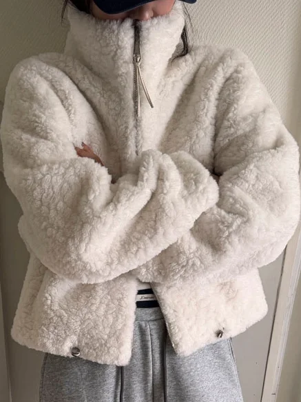 Корейская женская куртка-пальто с воротником-стойкой, повседневная, из искусственной кожи и меха, на молнии, весенняя новинка
Корейская женская куртка-пальто с воротником-стойкой, повседневная, из искусственной кожи и меха, на молнии, весенняя новинка