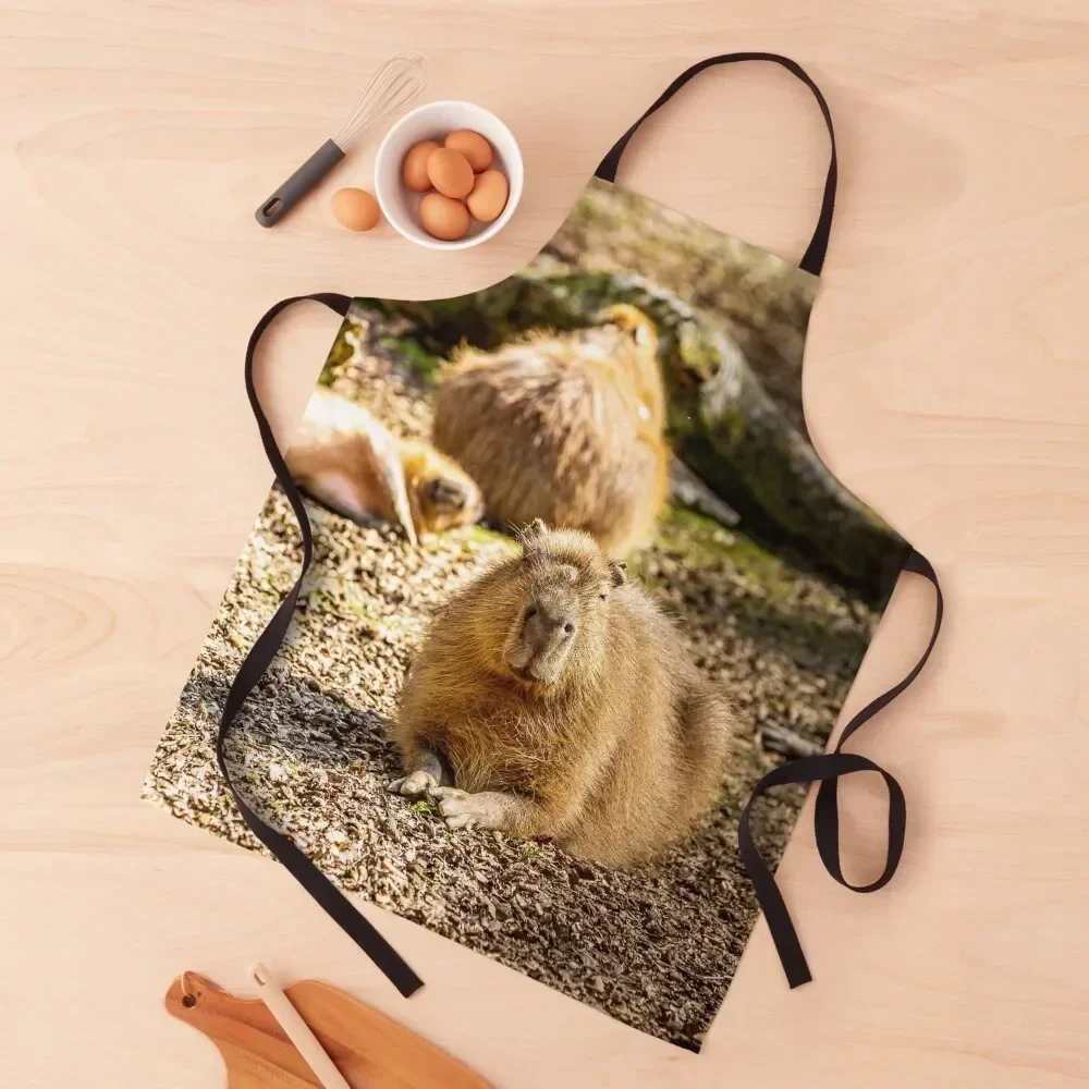Capybara dozing in the sunshine Apron useful gadgets for home Cute Kitchen Accessories Kitchen For Men bib Apron
Capybara dozing in the sunshine Apron useful gadgets for home Cute Kitchen Accessories Kitchen For Men bib Apron