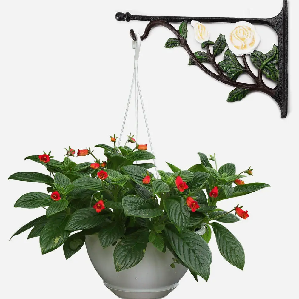 Iron Flowerpot Bracket Wall-Mounted Rose Design Heavy-Duty Polished Brushed Metal Hanger for Hanging Baskets Plant Hooks Bird
Iron Flowerpot Bracket Wall-Mounted Rose Design Heavy-Duty Polished Brushed Metal Hanger for Hanging Baskets Plant Hooks Bird
