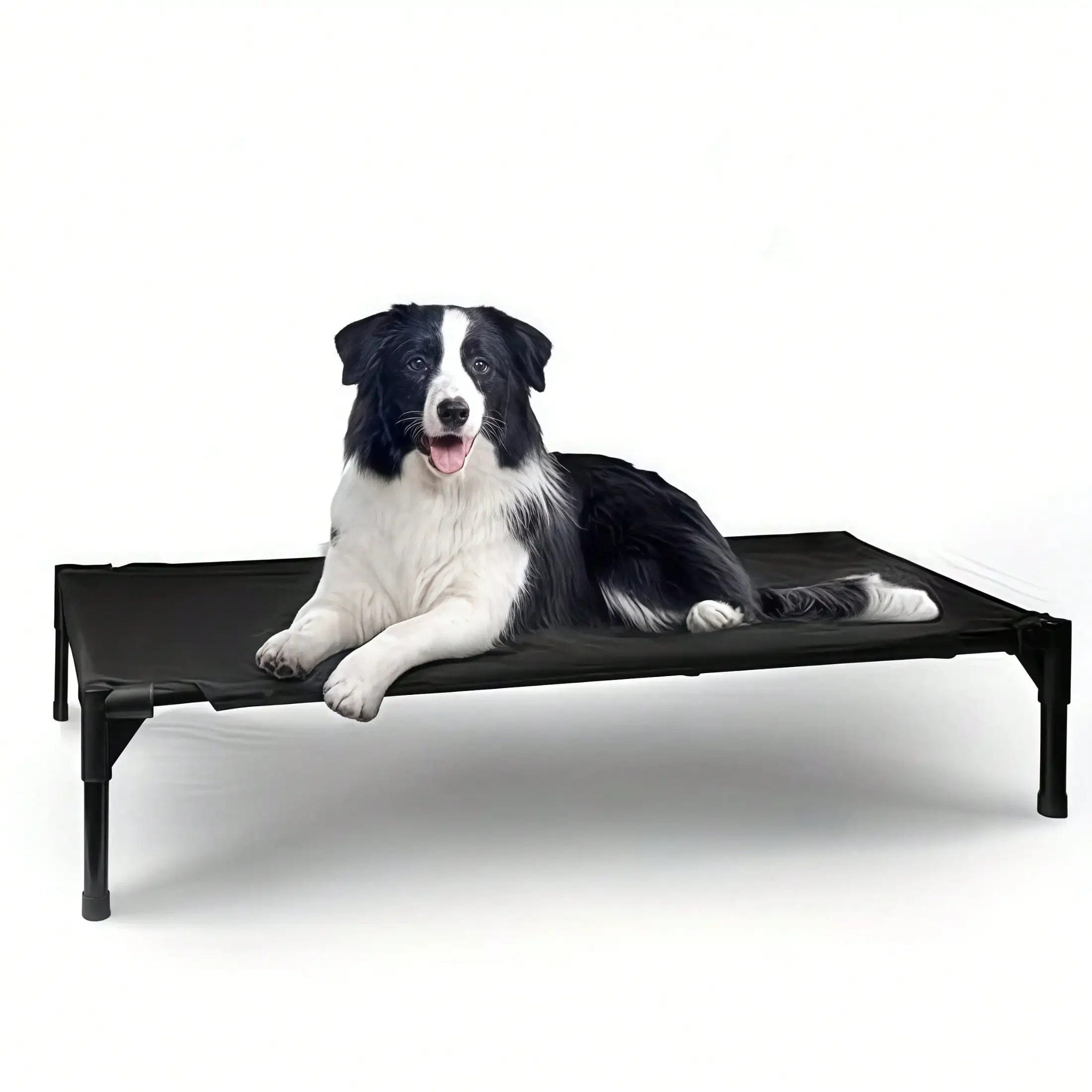 Elevated Dog Bed For Large Dogs, Portable Raised Dog Cot With Steel Metal Frame And Breathable Teslin Mesh, Indoor & Outdoor Pet
Elevated Dog Bed For Large Dogs, Portable Raised Dog Cot With Steel Metal Frame And Breathable Teslin Mesh, Indoor & Outdoor Pet