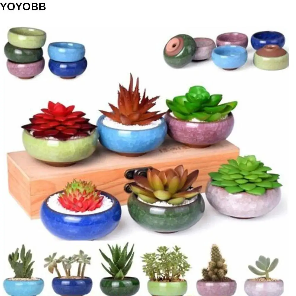 Breathable Ice-Crack Glaze Ceramic Flowerpots Thickened Cute Succulent Flowerpot Mini Perforated Plants Planter Courtyard
Breathable Ice-Crack Glaze Ceramic Flowerpots Thickened Cute Succulent Flowerpot Mini Perforated Plants Planter Courtyard