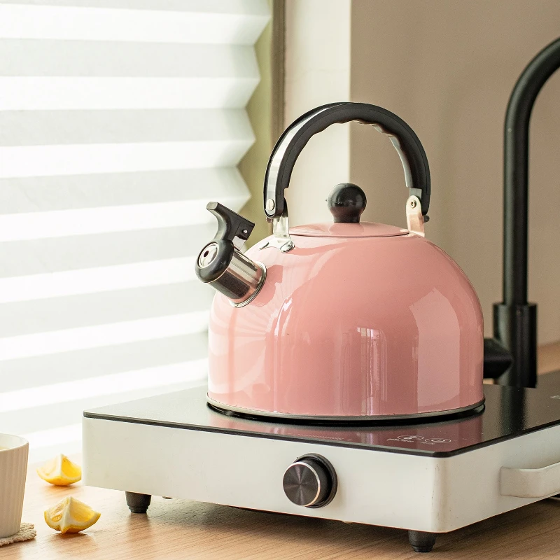 LMM European Pink Folding Handle Whistle Kettle European Simple 3L Kettle
LMM European Pink Folding Handle Whistle Kettle European Simple 3L Kettle
