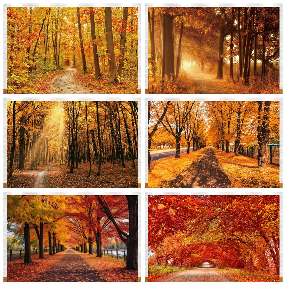 Autumn Forest Photography Backdrop Yellow Maple Leaves Rustic Woodland Scenery Fall Photo Booth Background Home Party Decoration
Autumn Forest Photography Backdrop Yellow Maple Leaves Rustic Woodland Scenery Fall Photo Booth Background Home Party Decoration