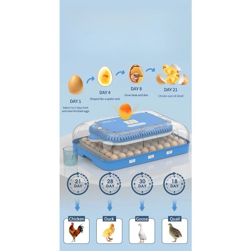 Automatic Humidity Control 70 Dual Power Egg Incubator Egg Hatching Machine Solar Incubator for Egg
Automatic Humidity Control 70 Dual Power Egg Incubator Egg Hatching Machine Solar Incubator for Egg