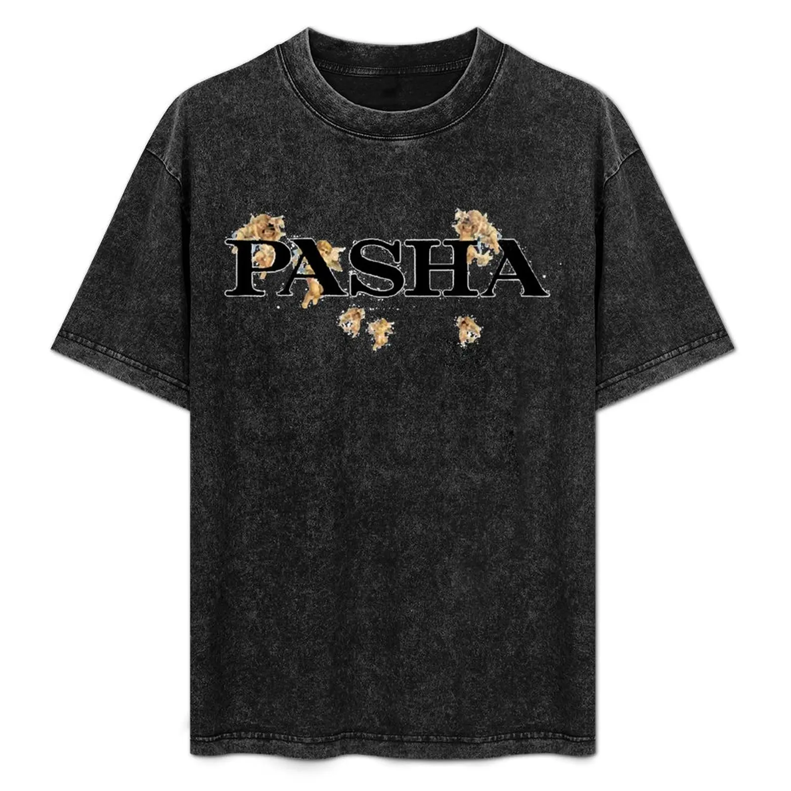 Pashanim logo T-Shirt Big and Tall Basic Tee Shirt
Pashanim logo T-Shirt Big and Tall Basic Tee Shirt