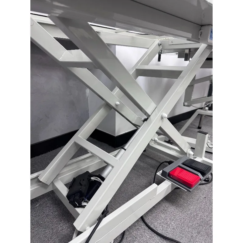 Luminous Professional Dog Grooming Table With Remote Control Electric Lifting Pet Grooming Table for Dog Cat
Luminous Professional Dog Grooming Table With Remote Control Electric Lifting Pet Grooming Table for Dog Cat
