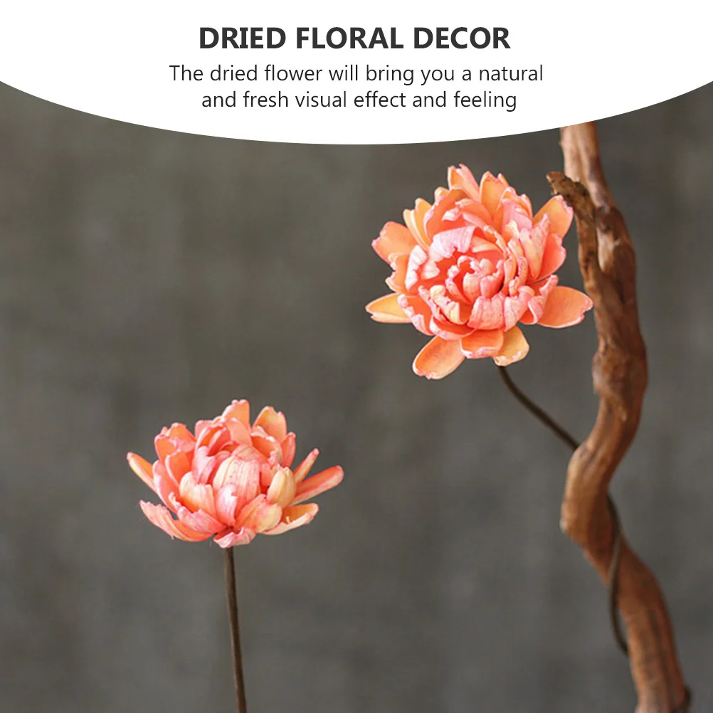 2Pcs Dried Floral Bouquet Natural Reed Decoration Home Office Room Decoration Elegant Table Arrangement Natural Dried Flowers
2Pcs Dried Floral Bouquet Natural Reed Decoration Home Office Room Decoration Elegant Table Arrangement Natural Dried Flowers